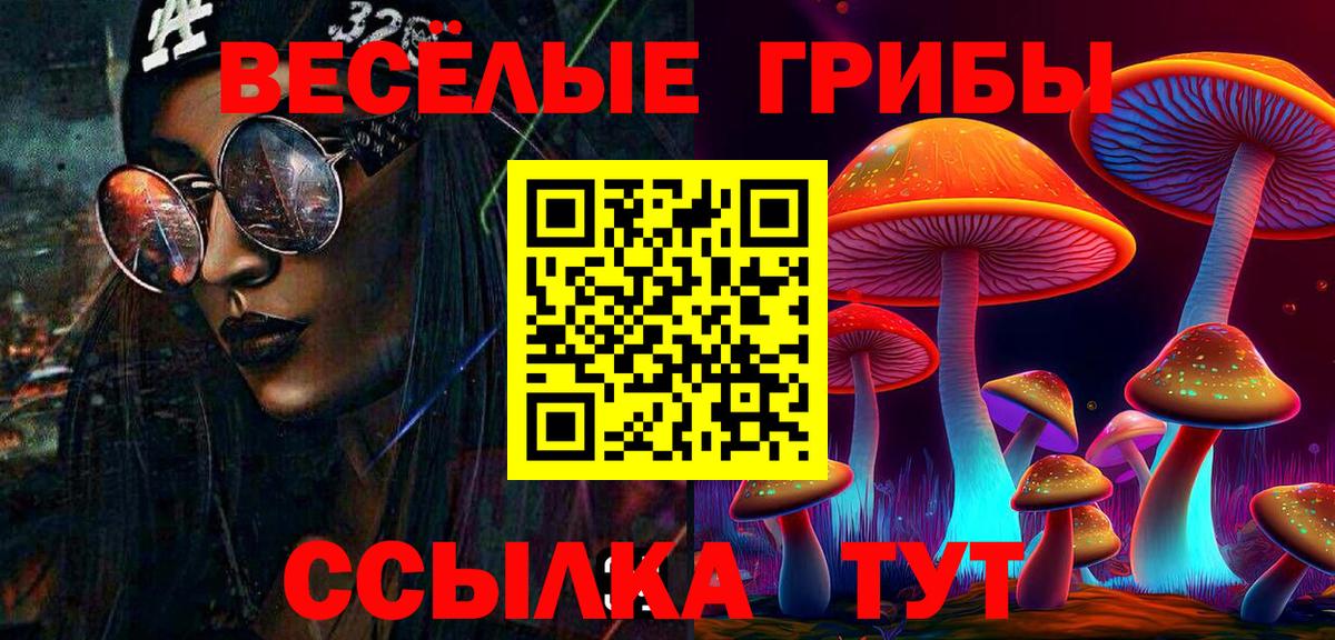 Псилоцибиновые грибы Cubensis Сургут