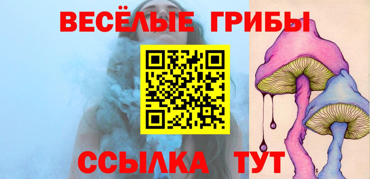 Псилоцибиновые грибы Psilocybine cubensis  Галлюциногенные грибы GOLDEN TEACHER  Сургут  Вход с VPN 